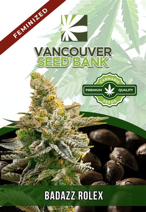 badazz rolex cannabis seeds|Badazz Rolex Feminized Seeds .